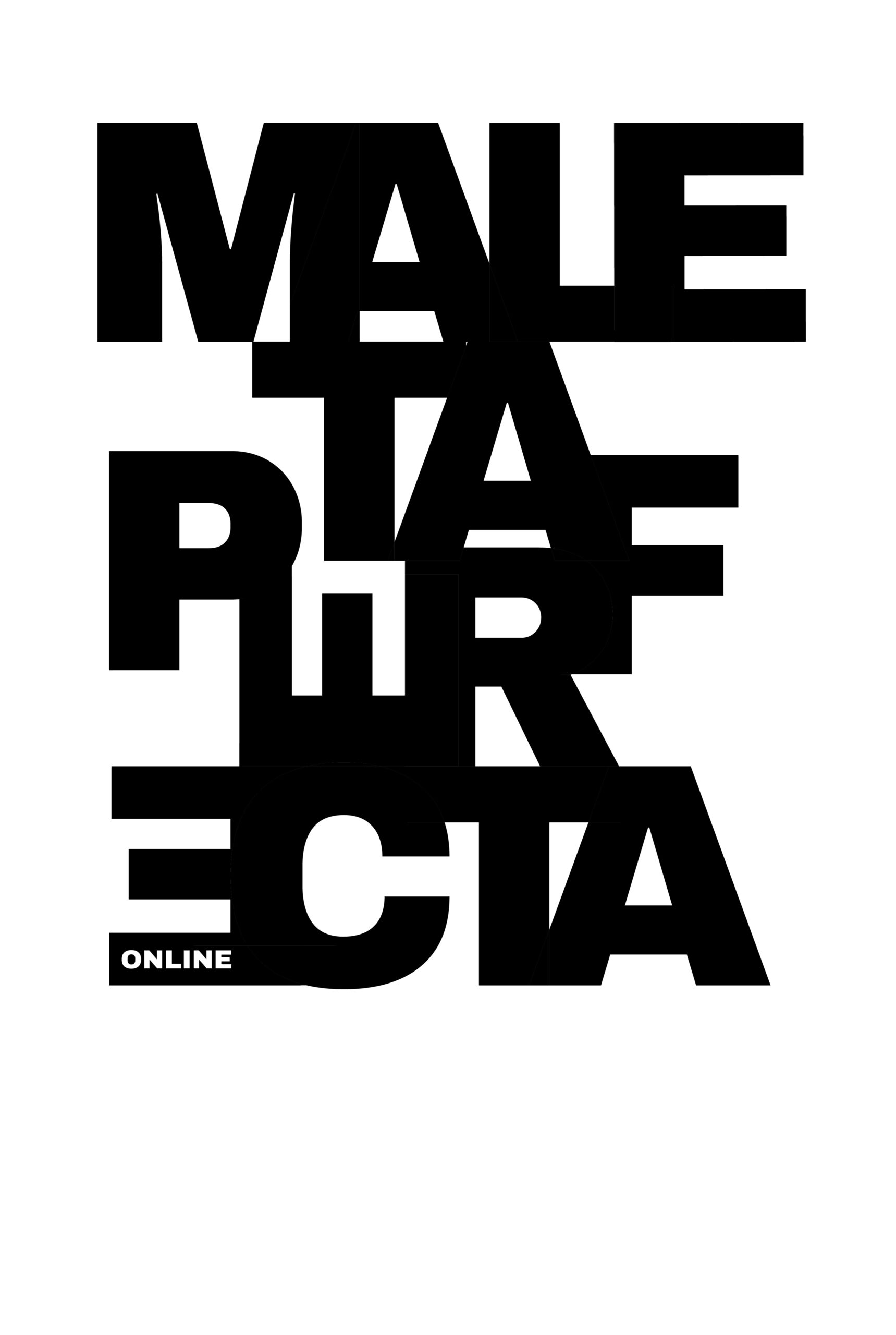 MALETA_Mesa de trabajo 1
